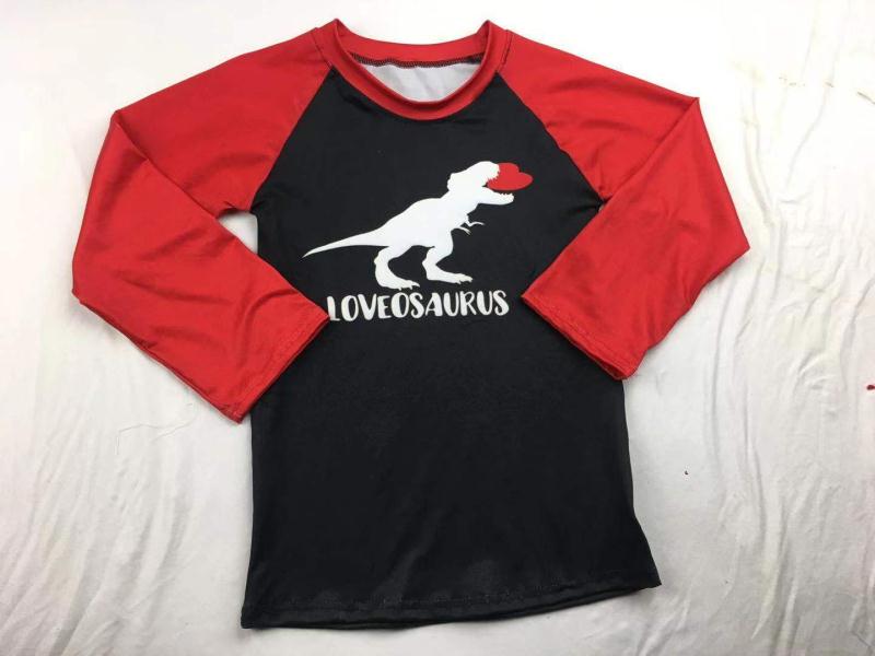 Loveosaurus Boys Raglan